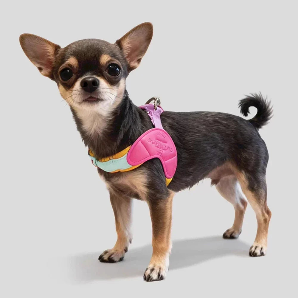 Dog Harness Y Shaped Adjustable Chest Straps Polyester Blends Summer 2026 Outdoor Use Easy Fit