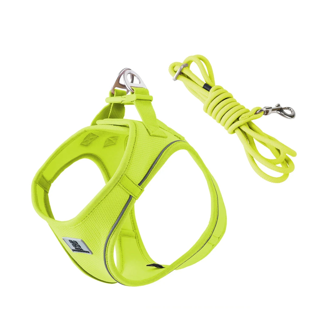Dog Harness Leash Set Reflective Padded Vest All Seasons Outdoor Walking Gift Idea