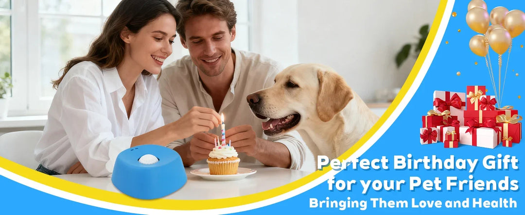 Anti-Choking Slow Feeder Dog Bowl – Non-Slip Lick Mat 3/4 Cup Liquid Treat Holder for Dogs 2026