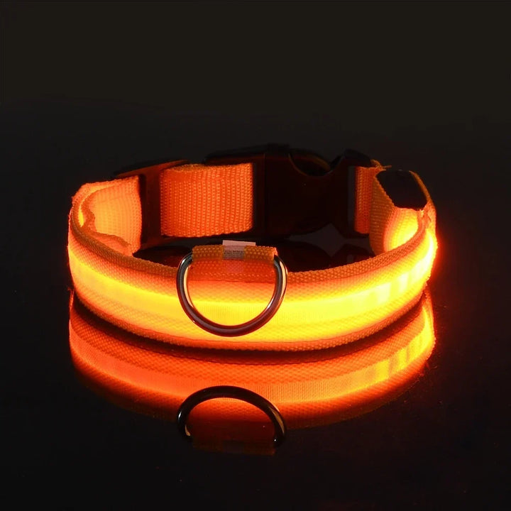 LED Dog Collar Glow In The Dark Night Safety Luminous Fall 2026 Trend Perfect Gift Idea
