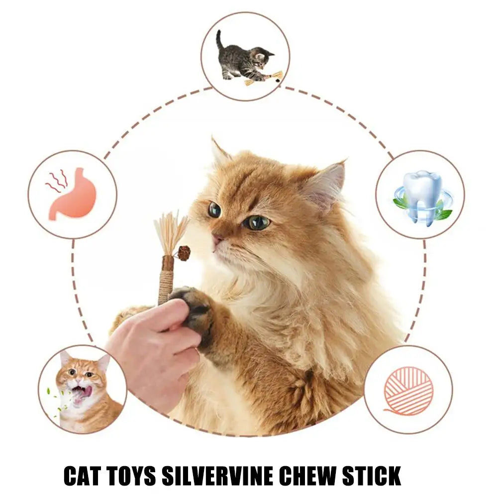 Natural Silver Vine Cat Dental Chew Rod - Bite-Resistant Matatabi Teeth Cleaning Toy