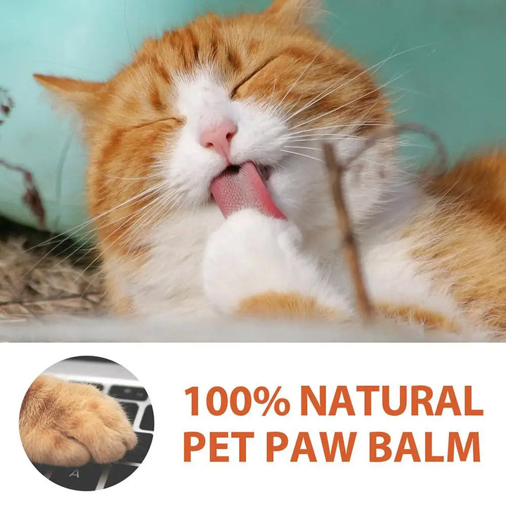 Pet Paw Balm for Dogs &amp; Cats - Moisturizing Foot Care Cream, Protective Oil for Winter Paw Health