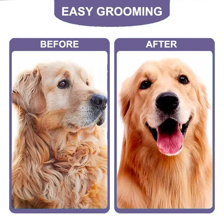 Stainless Steel Pet Grooming Brush - Anti-Lice Comb for Dogs &amp; Cats, Hair Care Supplies