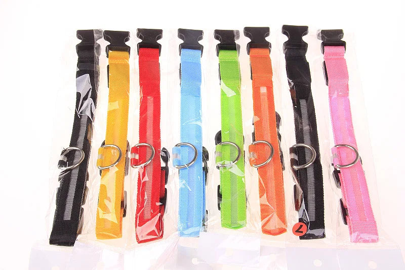LED Dog Collar Glow In The Dark Night Safety Luminous Fall 2026 Trend Perfect Gift Idea
