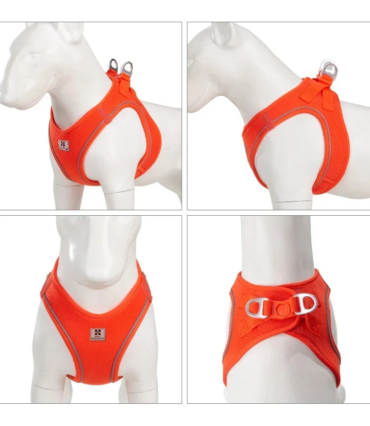 Dog Harness Leash Set Reflective Padded Vest All Seasons Outdoor Walking Gift Idea