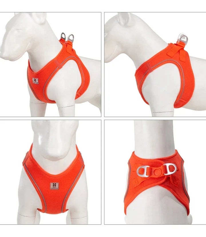 Dog Harness Leash Set Reflective Padded Vest All Seasons Outdoor Walking Gift Idea