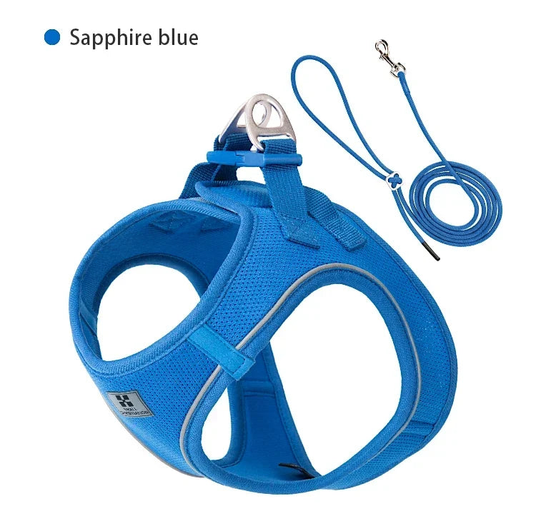 Dog Harness Leash Set Reflective Padded Vest All Seasons Outdoor Walking Gift Idea