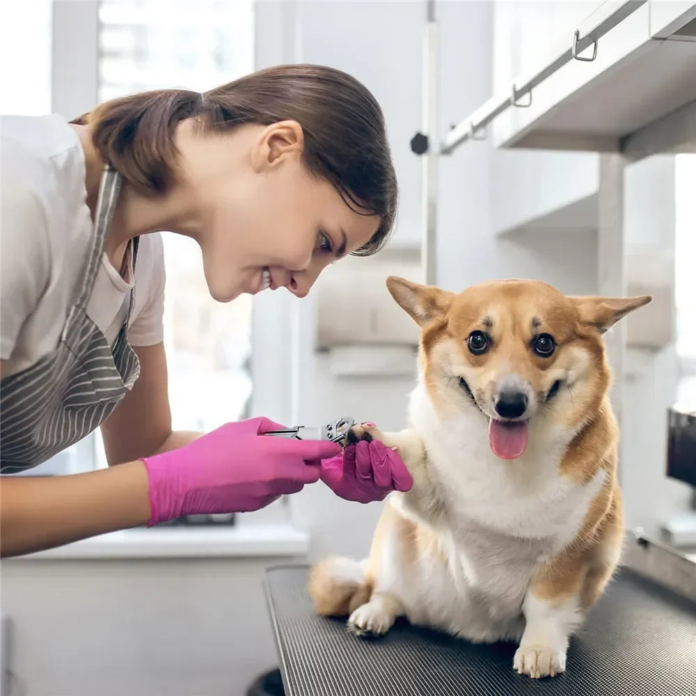 Stainless Steel Pet Nail Clipper - Dog &amp; Cat Grooming Tool for Small to Medium Pets, Nail Care