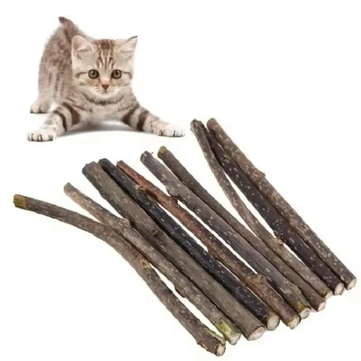 Natural Matatabi Cat Chew Sticks 15-Pack - Silvervine Catnip Dental Toy for Teeth Cleaning