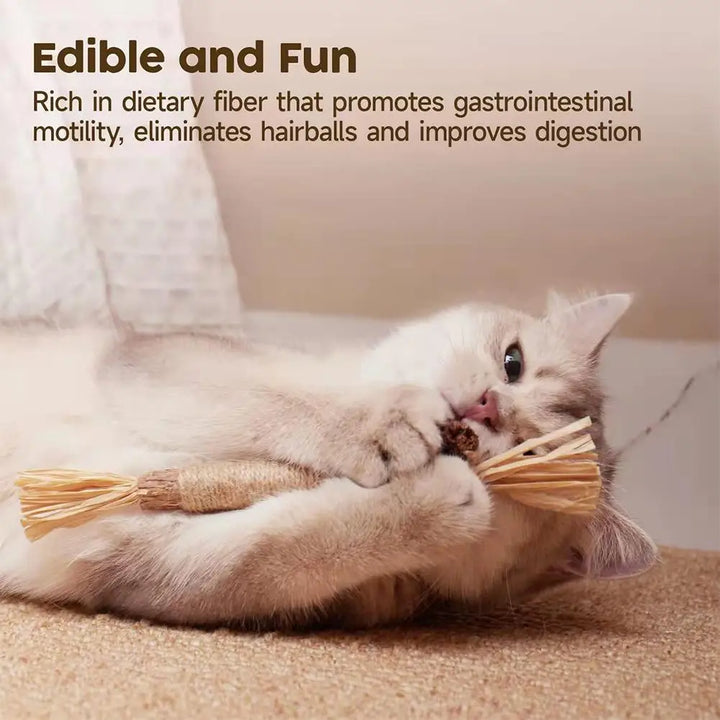 Natural Silver Vine Cat Dental Chew Rod - Bite-Resistant Matatabi Teeth Cleaning Toy