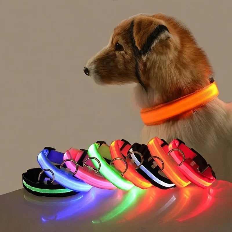 LED Dog Collar Glow In The Dark Night Safety Luminous Fall 2026 Trend Perfect Gift Idea