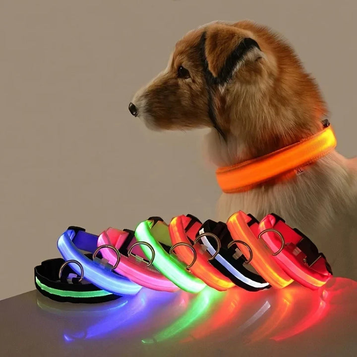 LED Dog Collar Glow In The Dark Night Safety Luminous Fall 2026 Trend Perfect Gift Idea