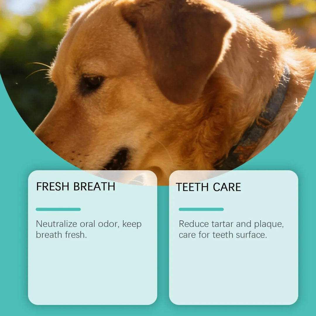 Pet Oral Care Spray 100ml – Natural Bad Breath Freshener Dog Cat Teeth Cleaning Plaque Reducer 2026