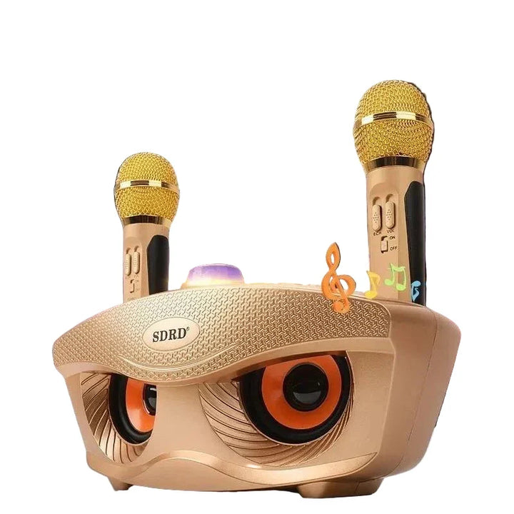 Bluetooth Karaoke Speaker 30W Portable System Home Party Karaoke Machine Dual Microphones TikTok Viral Fall 2025 Gift