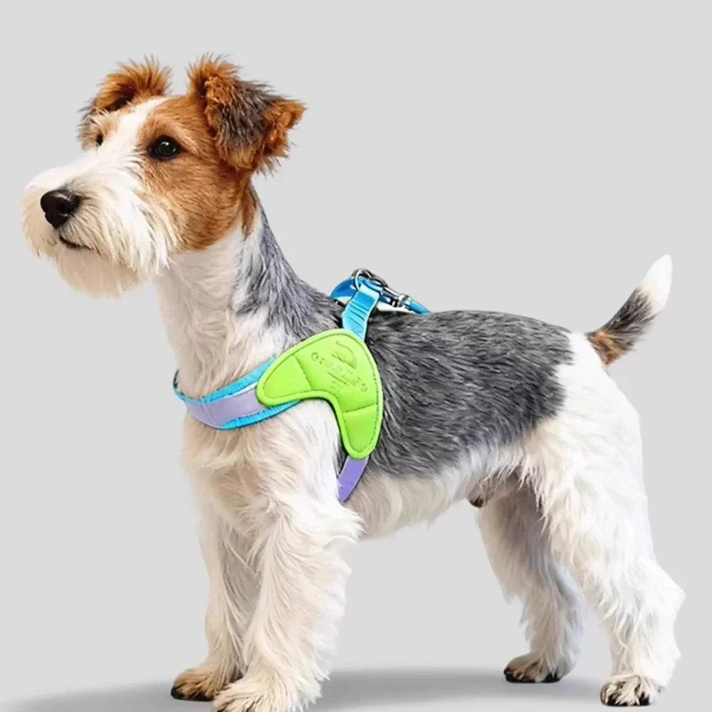 Dog Harness Y Shaped Adjustable Chest Straps Polyester Blends Summer 2026 Outdoor Use Easy Fit
