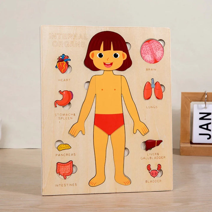 Montessori Human Anatomy Jigsaw Puzzle for Kids, 10 Pieces Educational Toy, Interactive Learning Tool, Non-Toxic Wood, 12 x 9 Inches