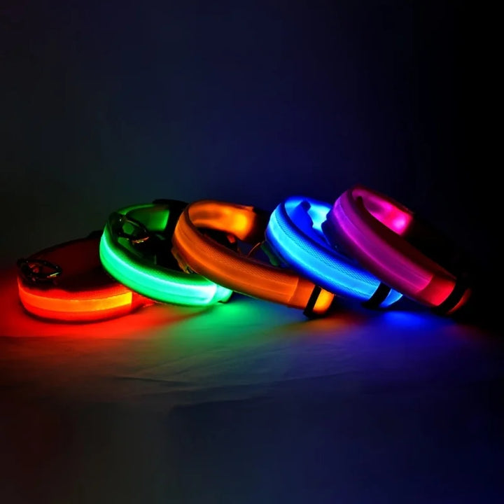 LED Dog Collar Glow In The Dark Night Safety Luminous Fall 2026 Trend Perfect Gift Idea