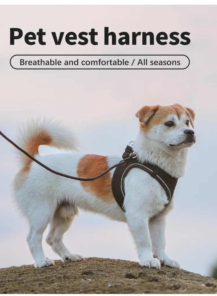 Dog Harness Leash Set Reflective Padded Vest All Seasons Outdoor Walking Gift Idea