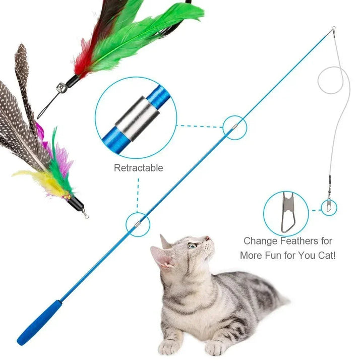 11pcs Replacement Cat Feather Toy Set - Retractable Cat Stick for Play, Durable Feather Toys