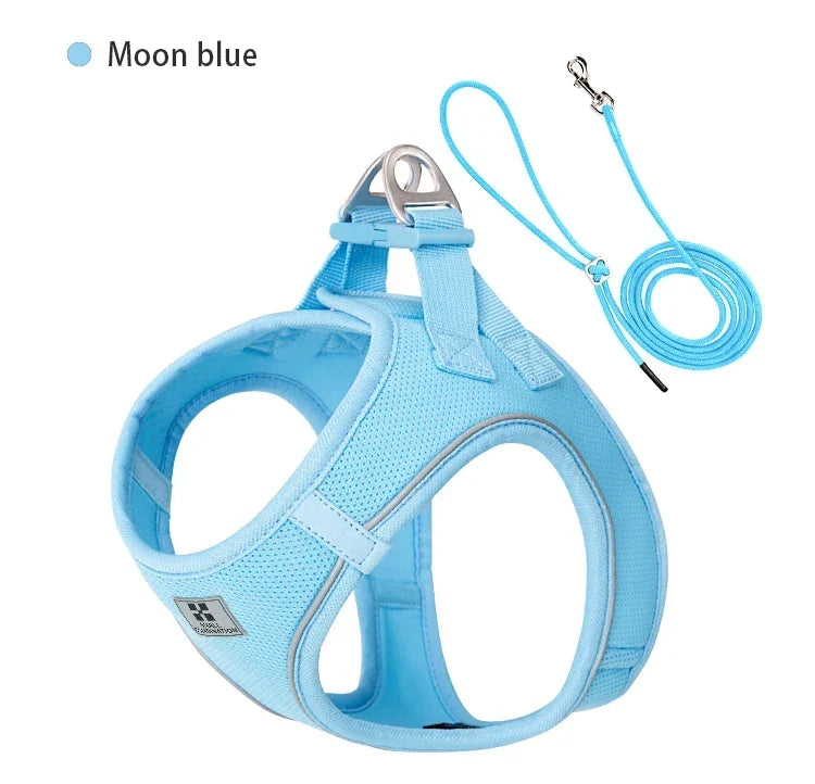 Dog Harness Leash Set Reflective Padded Vest All Seasons Outdoor Walking Gift Idea