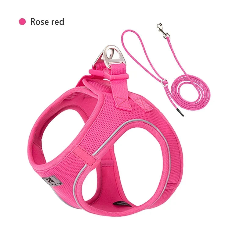 Dog Harness Leash Set Reflective Padded Vest All Seasons Outdoor Walking Gift Idea