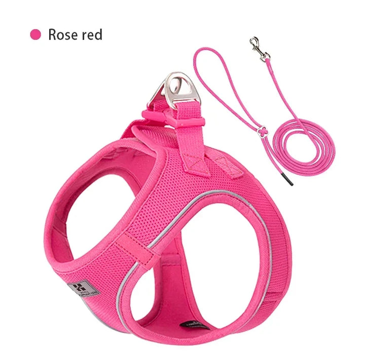 Dog Harness Leash Set Reflective Padded Vest All Seasons Outdoor Walking Gift Idea