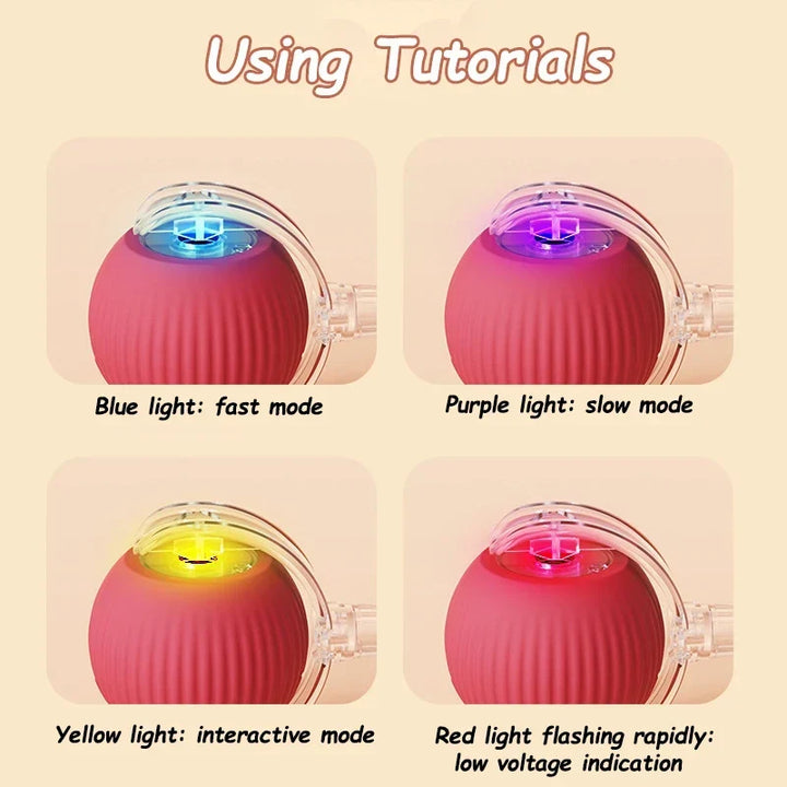 Fruit Interactive Cat Ball Toy - Automatic Rolling Rechargeable Smart Dog &amp; Cat Electric Toy