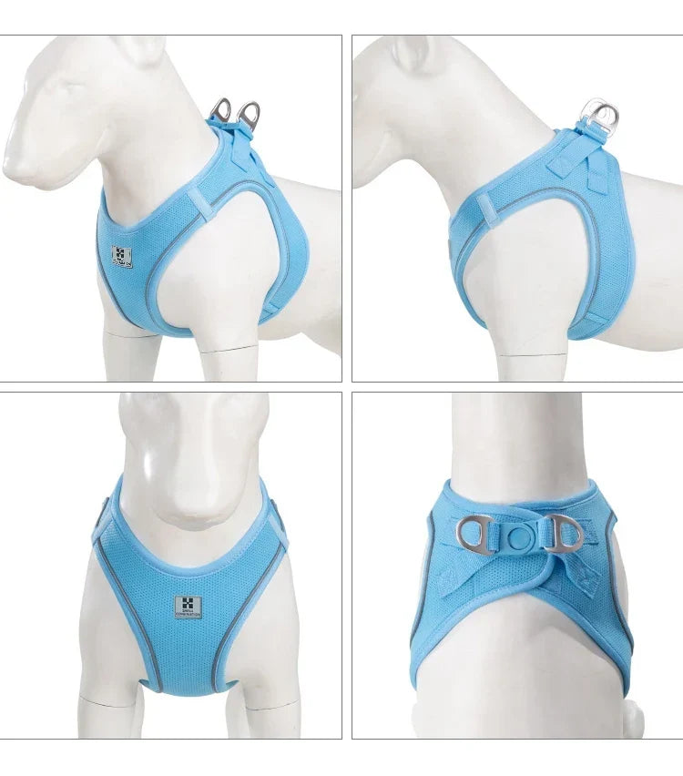 Dog Harness Leash Set Reflective Padded Vest All Seasons Outdoor Walking Gift Idea