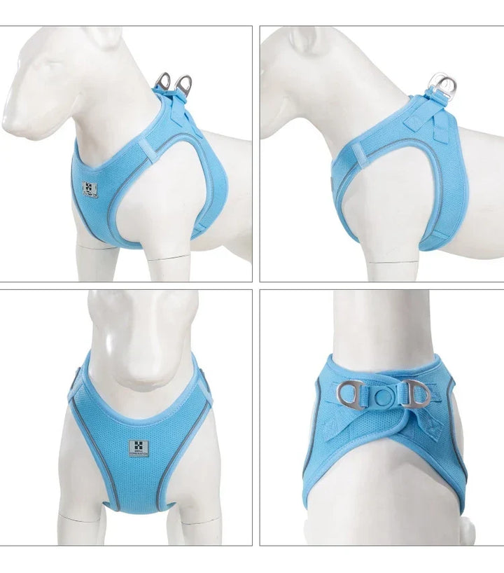 Dog Harness Leash Set Reflective Padded Vest All Seasons Outdoor Walking Gift Idea