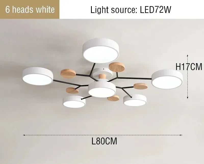 Ceiling Light LED Modern Fixture With Circular White Shades For Living Room