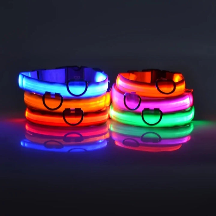 LED Dog Collar Glow In The Dark Night Safety Luminous Fall 2026 Trend Perfect Gift Idea