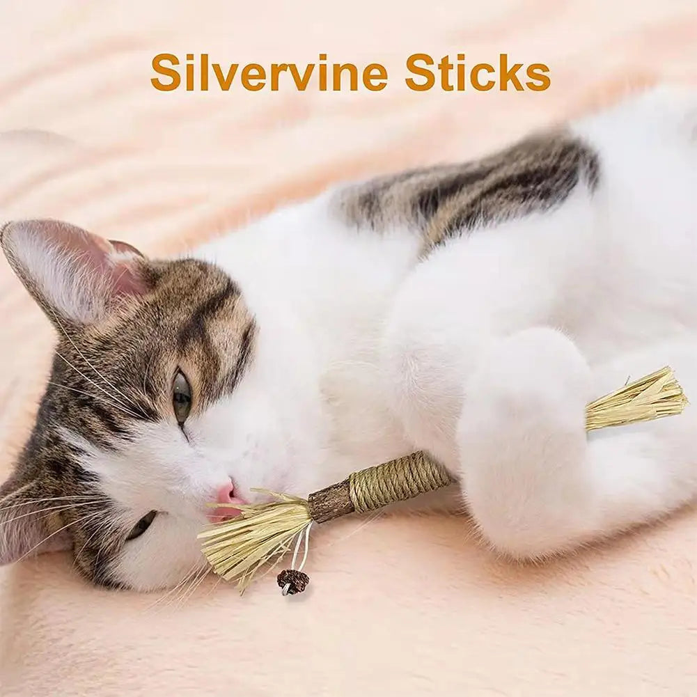 Natural Silver Vine Cat Dental Chew Rod - Bite-Resistant Matatabi Teeth Cleaning Toy