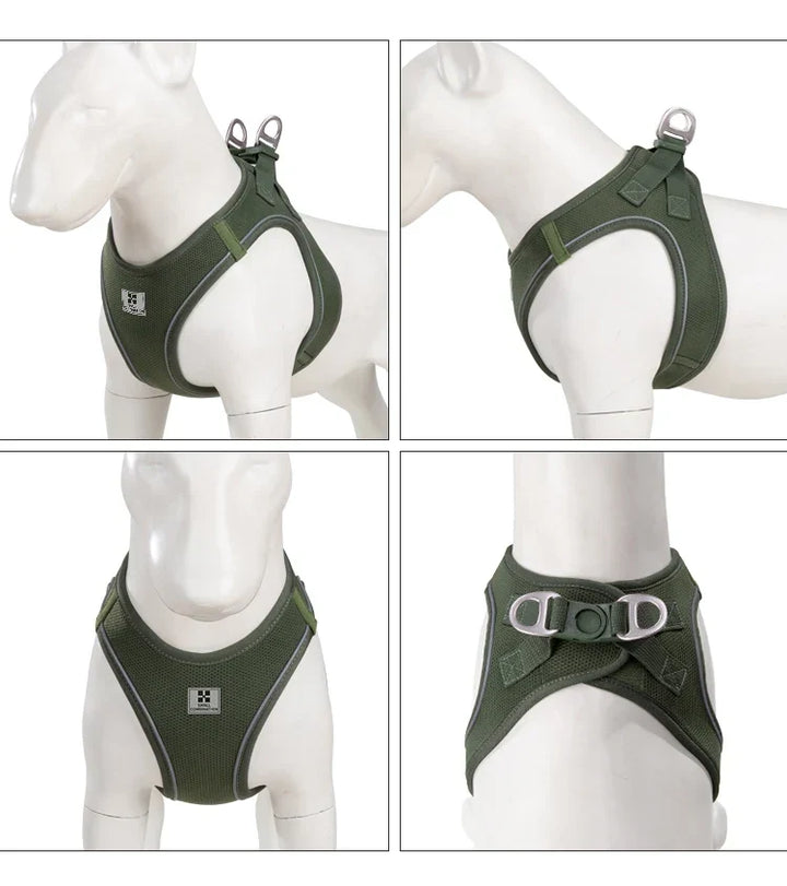 Dog Harness Leash Set Reflective Padded Vest All Seasons Outdoor Walking Gift Idea