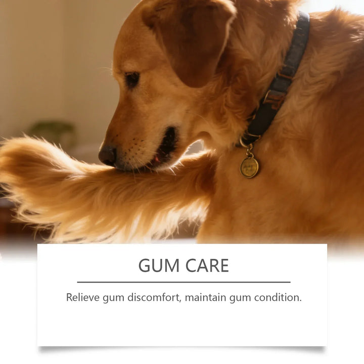 Pet Oral Care Spray 100ml – Natural Bad Breath Freshener Dog Cat Teeth Cleaning Plaque Reducer 2026