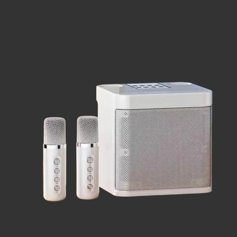 Bluetooth Speaker Karaoke System Portable Wireless 10W With 2 Microphones Outdoor Party Sound Fall 2025