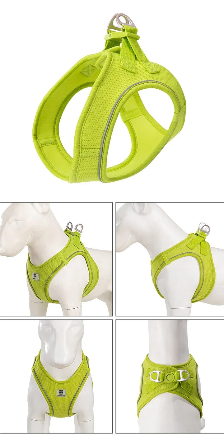 Dog Harness Leash Set Reflective Padded Vest All Seasons Outdoor Walking Gift Idea