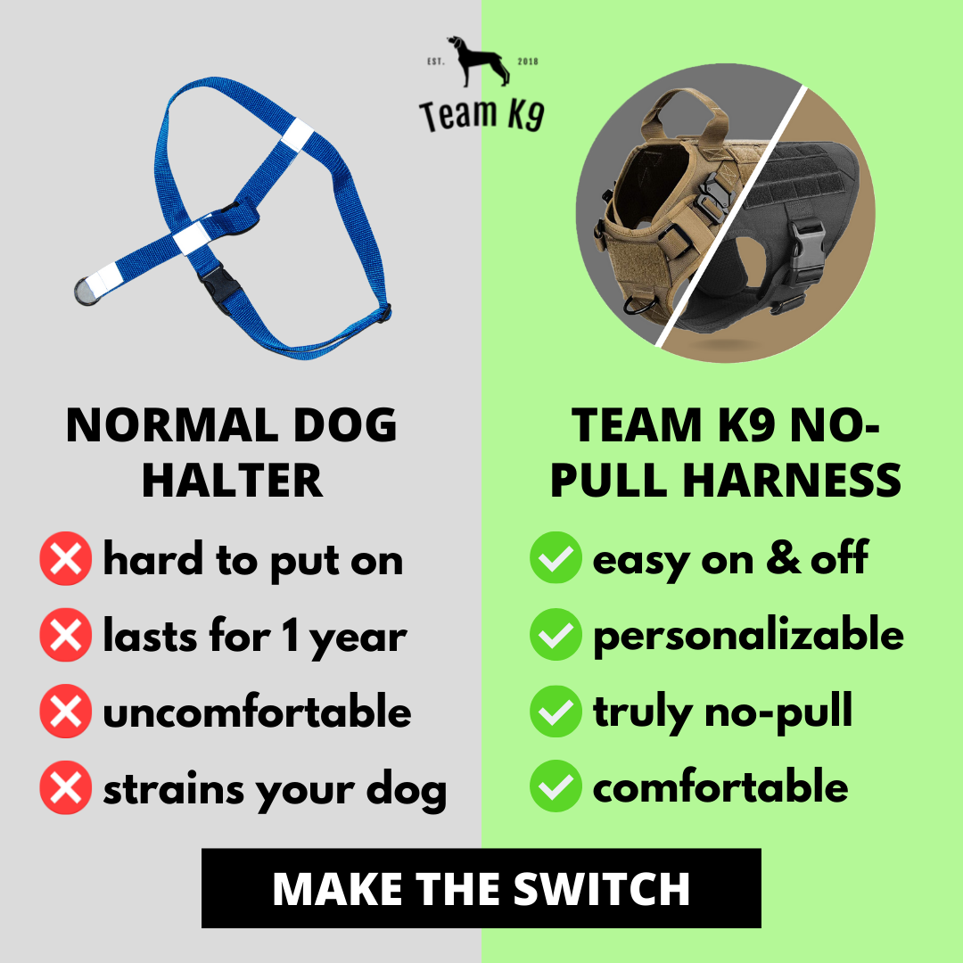Tactical Dog Harness System All-In-One Training Bundle No-Pull Harness MOLLE Pouches Travel Water Bowl Holiday 2025