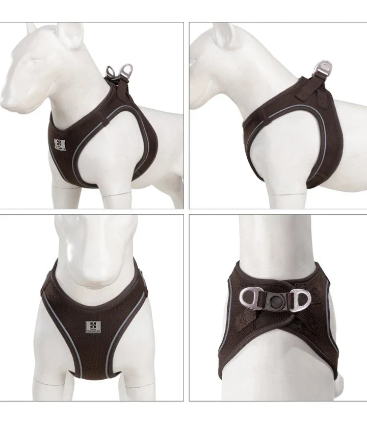 Dog Harness Leash Set Reflective Padded Vest All Seasons Outdoor Walking Gift Idea