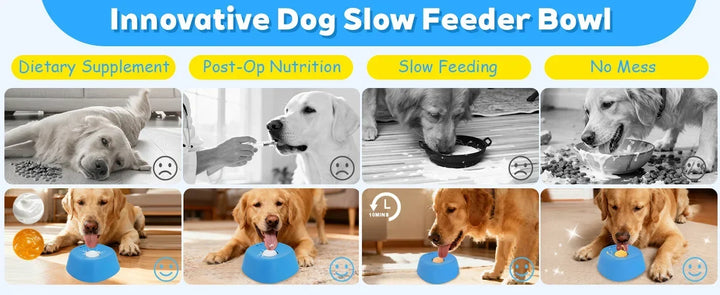 Anti-Choking Slow Feeder Dog Bowl – Non-Slip Lick Mat 3/4 Cup Liquid Treat Holder for Dogs 2026