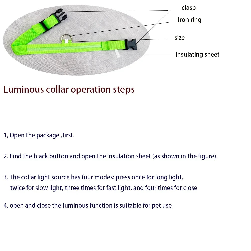 LED Dog Collar Glow In The Dark Night Safety Luminous Fall 2026 Trend Perfect Gift Idea