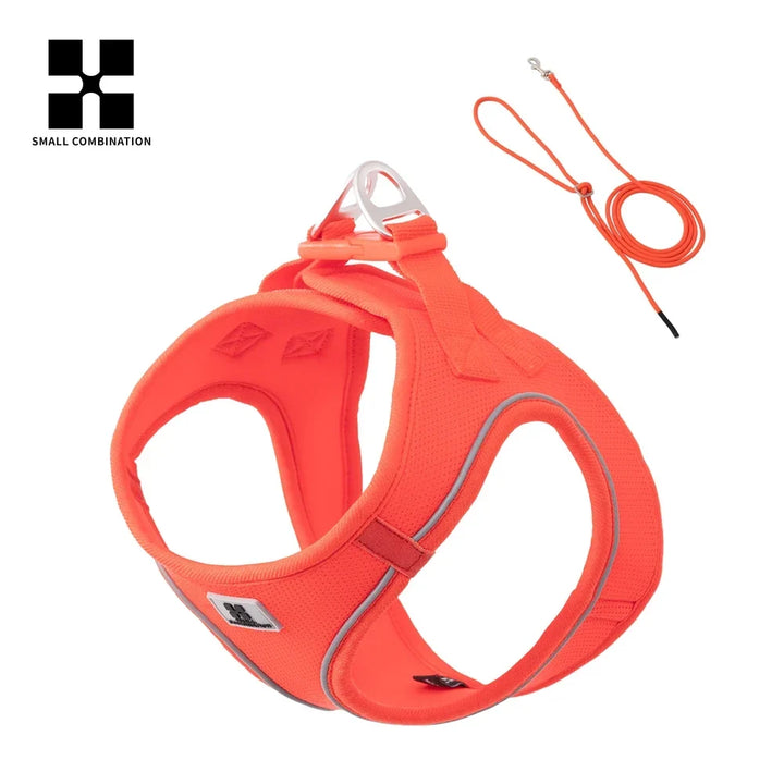Dog Harness Leash Set Reflective Padded Vest All Seasons Outdoor Walking Gift Idea