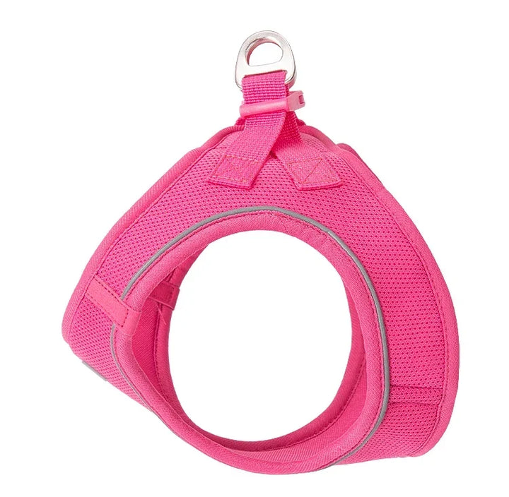 Dog Harness Leash Set Reflective Padded Vest All Seasons Outdoor Walking Gift Idea