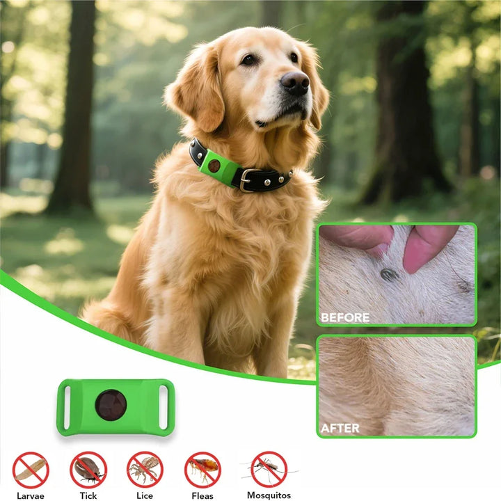 Natural Extract Pet Flea &amp; Tick Repellent Collar Tag Dogs Cats All Seasons Safe Wearable