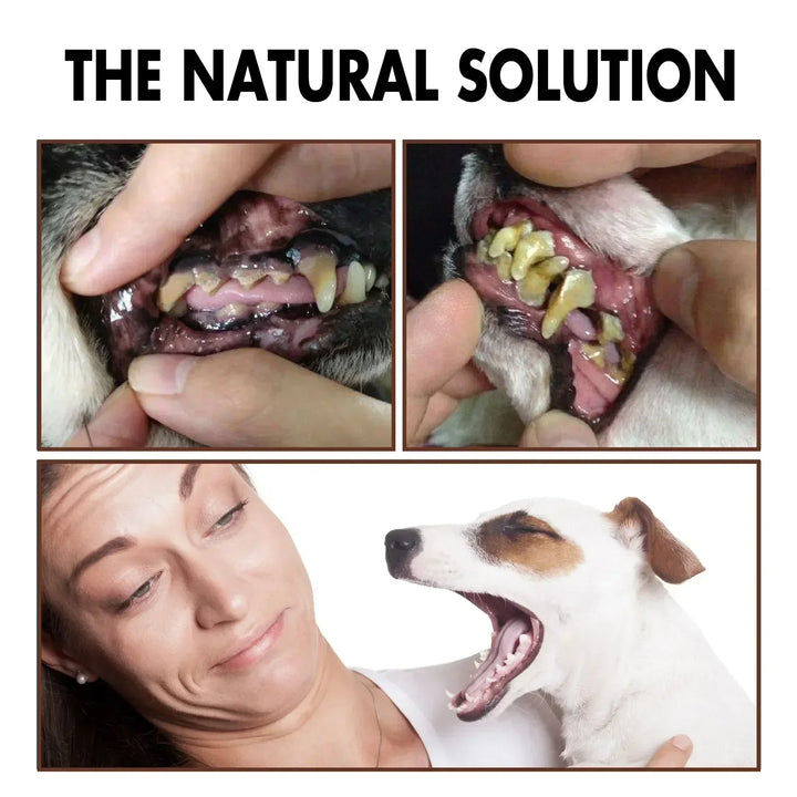 Pet Grooming Care Dental Spray for Dogs &amp; Cats - Bad Breath Freshener &amp; Oral Cleaning, 30ml
