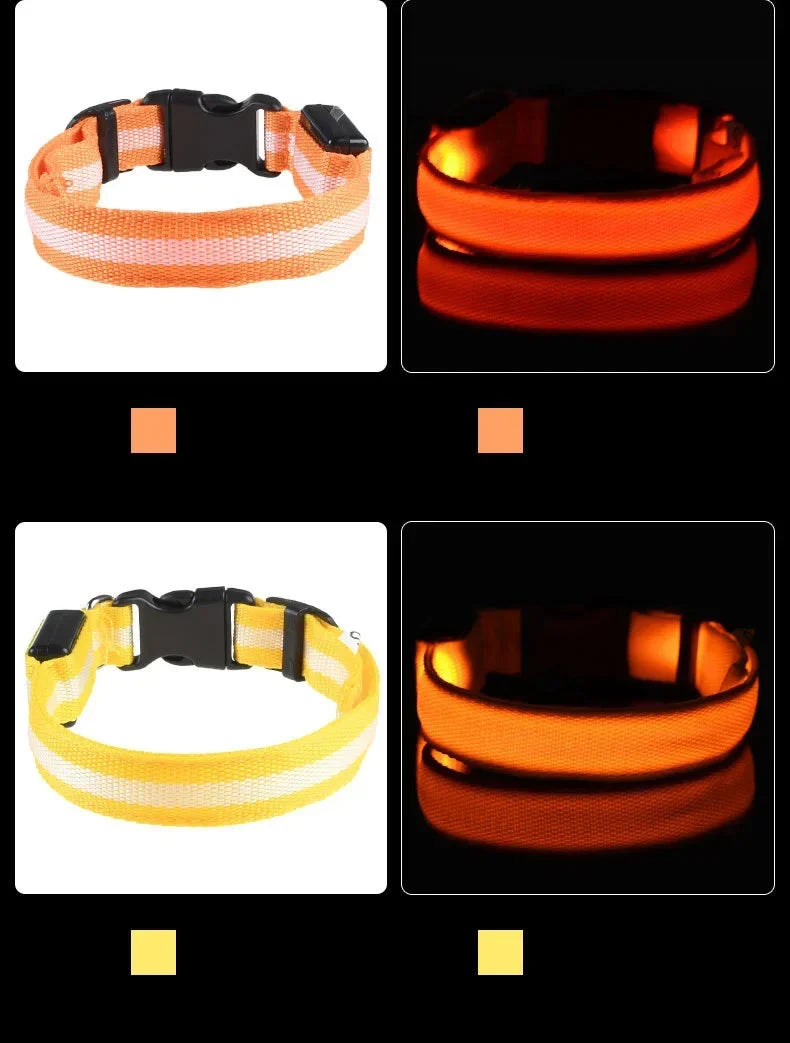 LED Dog Collar Glow In The Dark Night Safety Luminous Fall 2026 Trend Perfect Gift Idea