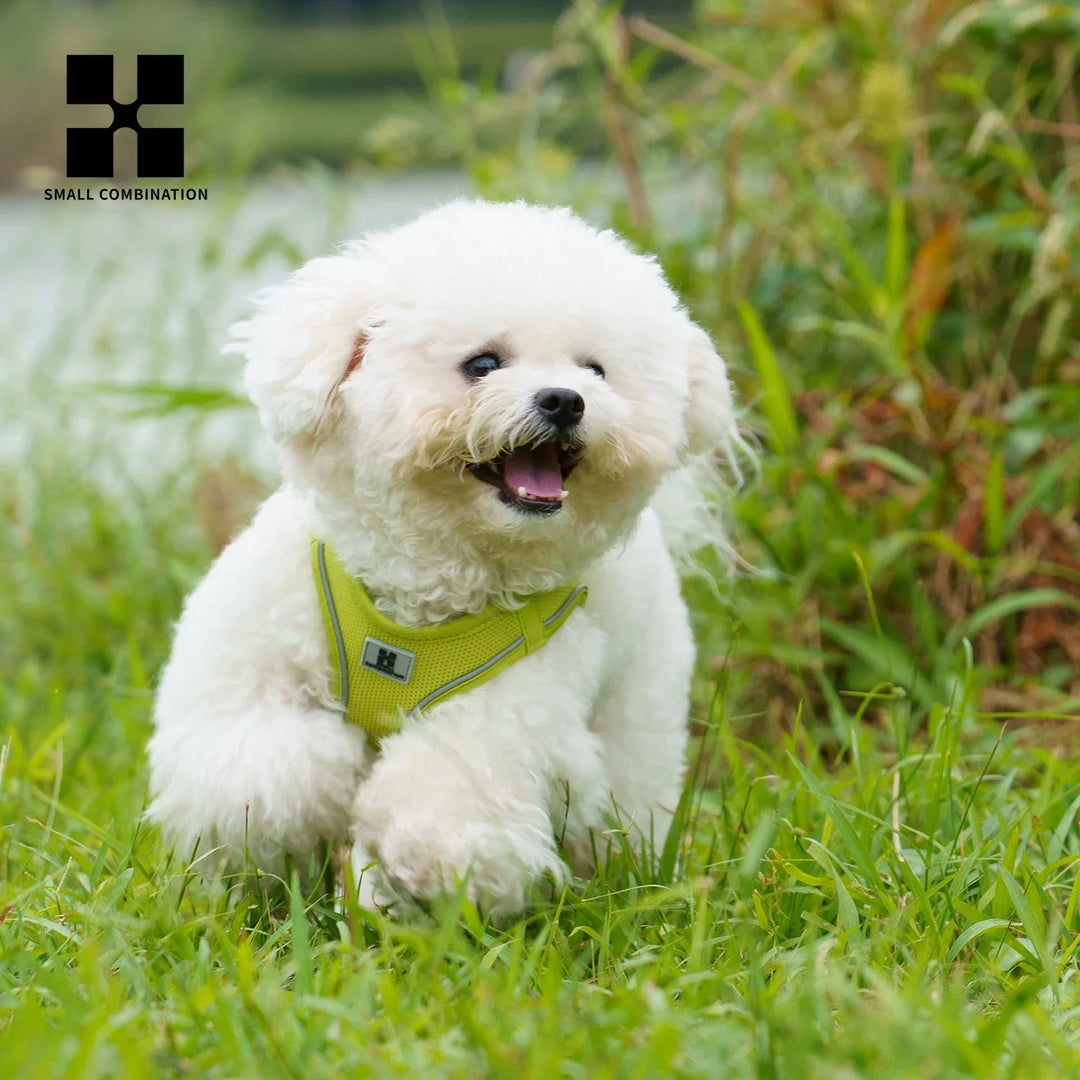 Dog Harness Leash Set Reflective Padded Vest All Seasons Outdoor Walking Gift Idea