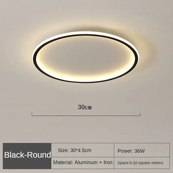 LED Ceiling Light Nordic Minimalist Circular with Remote Control Energy Efficient Home Decor TikTok Viral Fall 2026