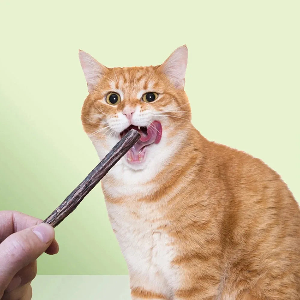 Natural Matatabi Cat Chew Sticks 15-Pack - Silvervine Catnip Dental Toy for Teeth Cleaning