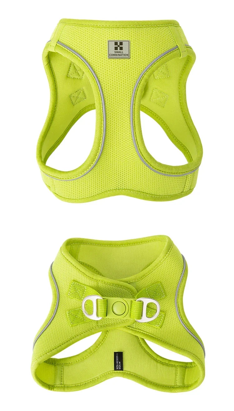 Dog Harness Leash Set Reflective Padded Vest All Seasons Outdoor Walking Gift Idea