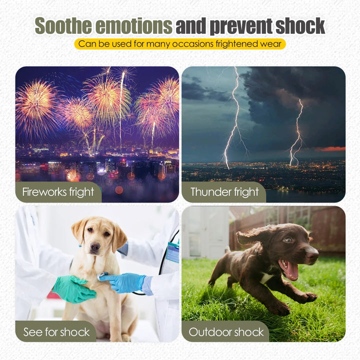 Dog Anxiety Vest Calming Coat TikTok Viral All Seasons Thunder and Fireworks Relief For Pets